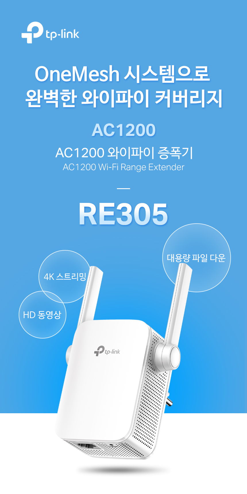 RE305_1.jpg